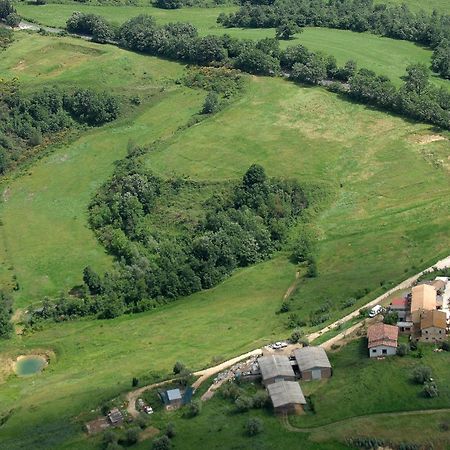 Agriturismo Campo Antico Pensionat Orte Eksteriør billede