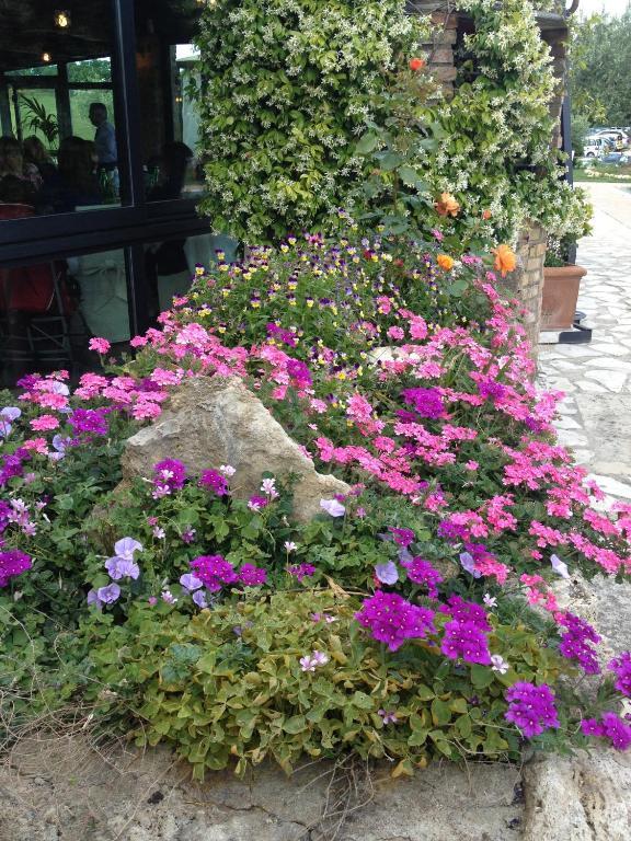 Agriturismo Campo Antico Pensionat Orte Eksteriør billede